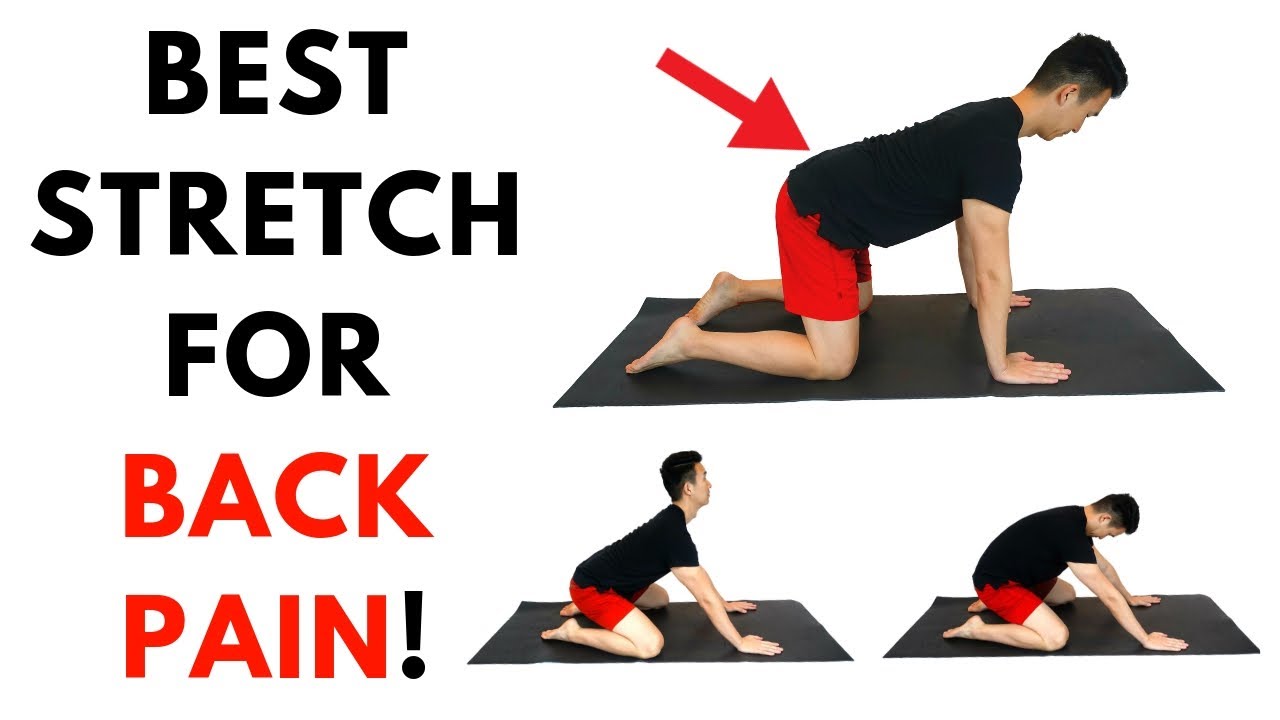 Hip pain back low relieve strength exercises redefining glute strengthening foam training lower exercise stretches relief mobility core stretching moves